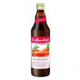 Dr. Steinberger Bio Sárgarépalé 750ml