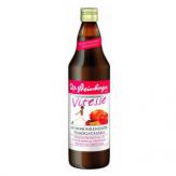 Dr. Steinberger Vitesse Az immunrendszer támogató 750ml